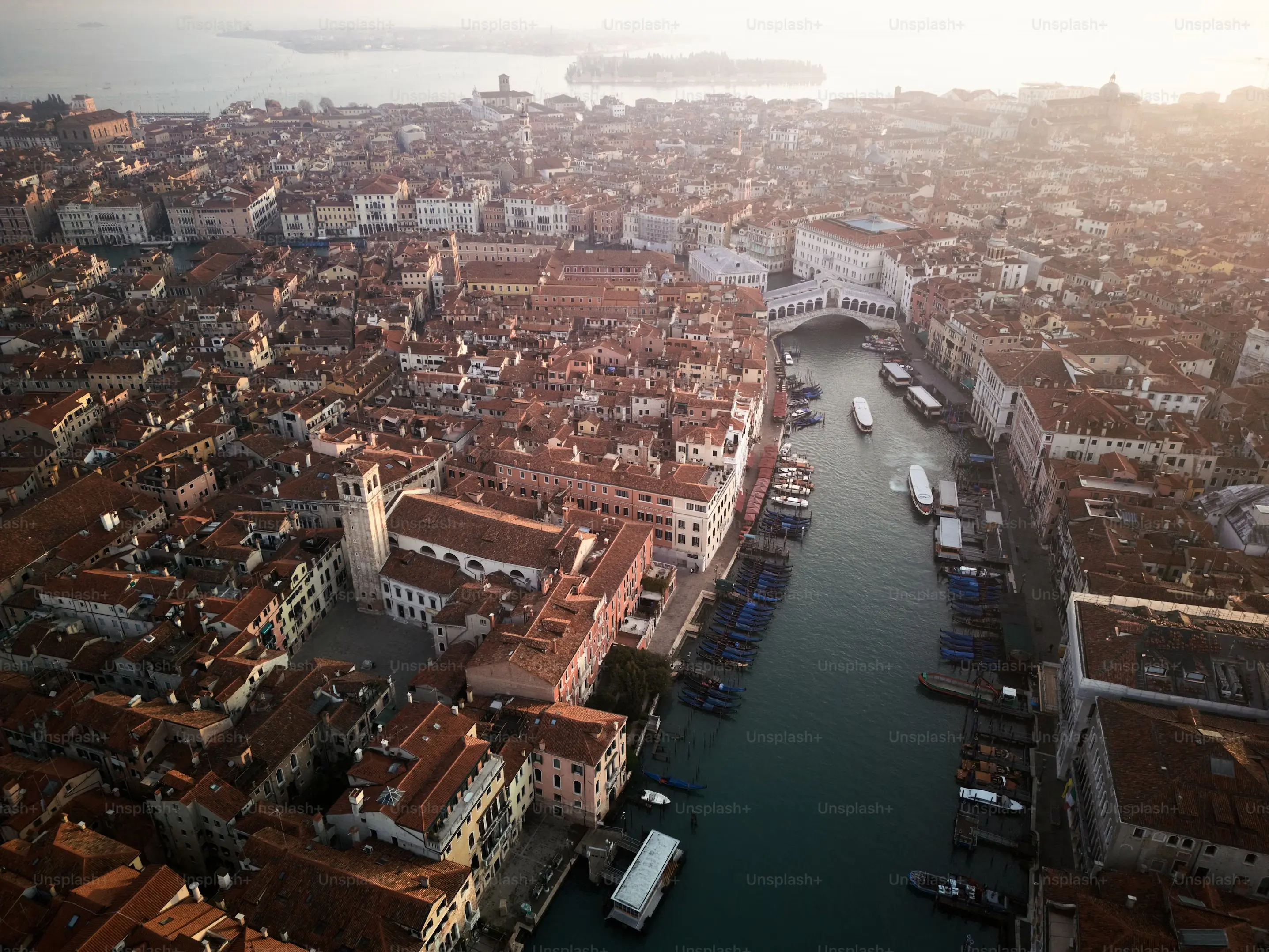 What's Up With All the Lions in Venice?